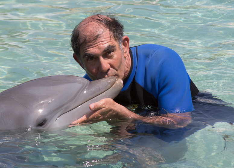 bob and dolphin